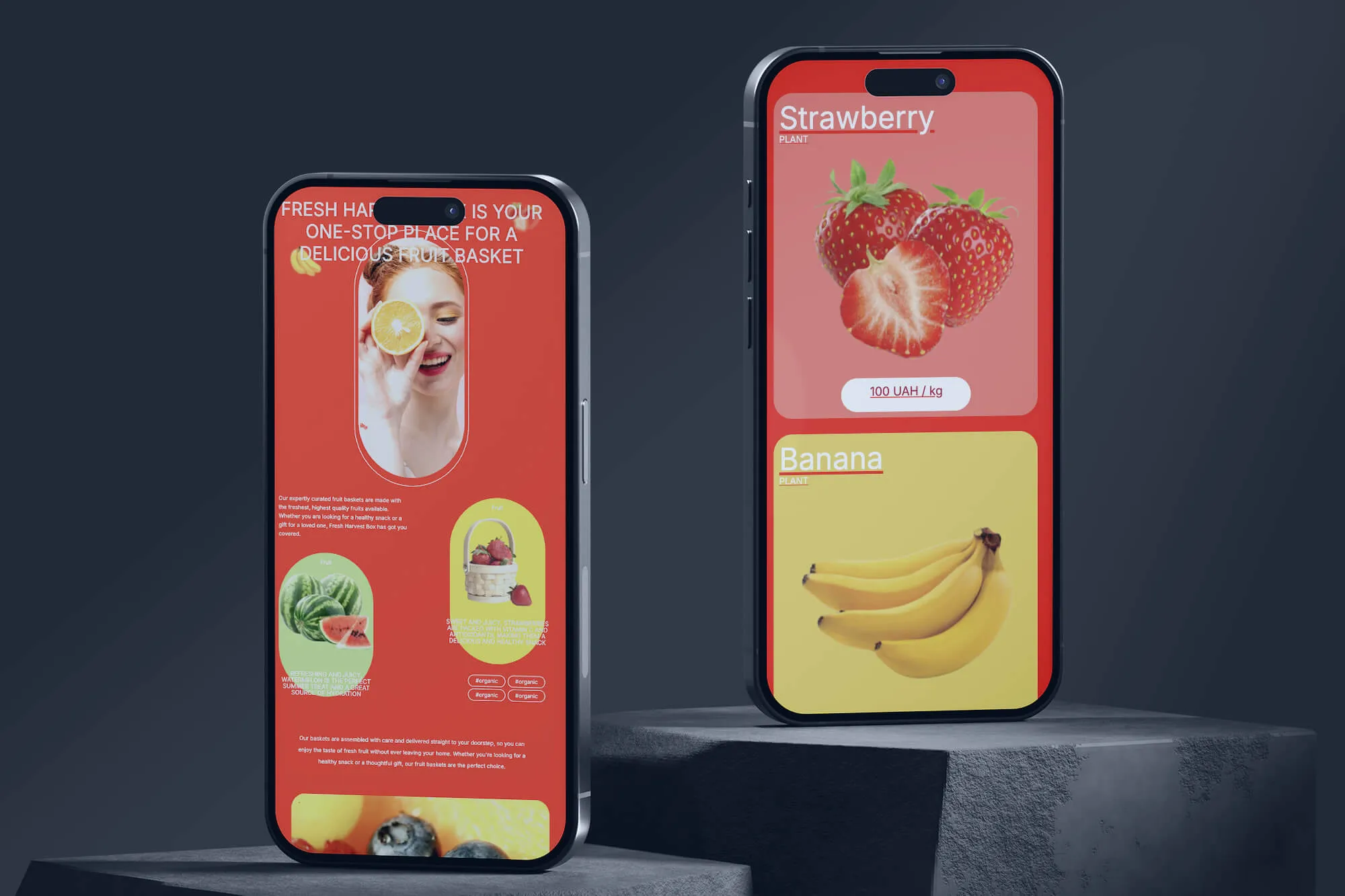 umapalata.space-portfolio