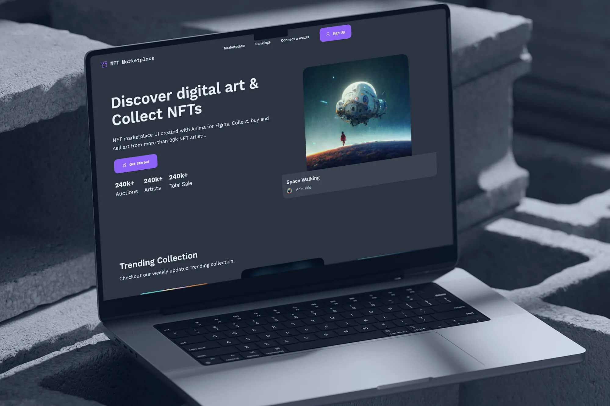 umapalata.space-portfolio