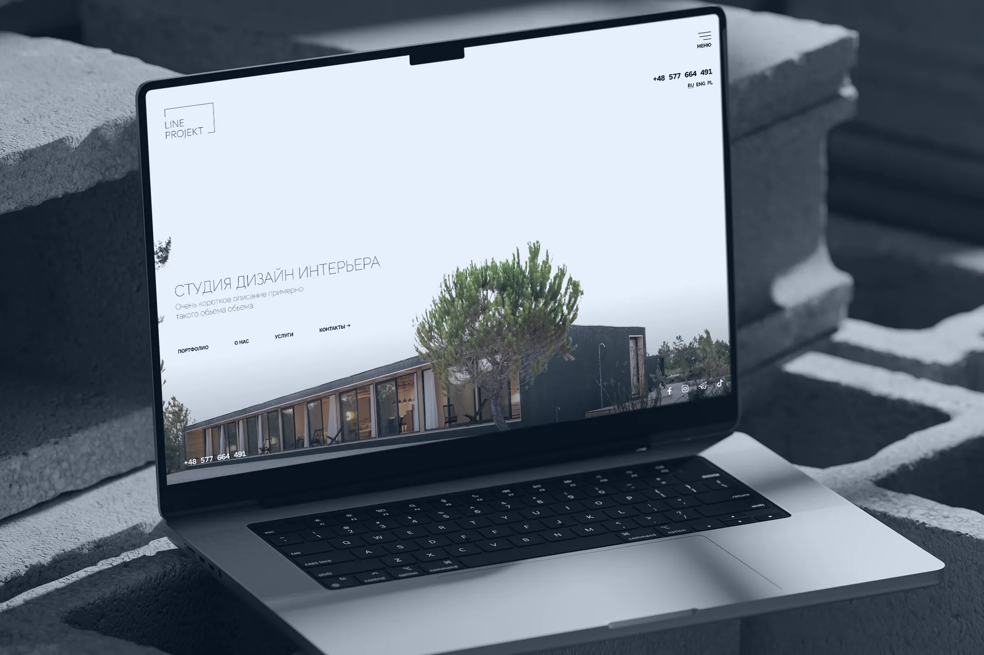 umapalata.space-portfolio