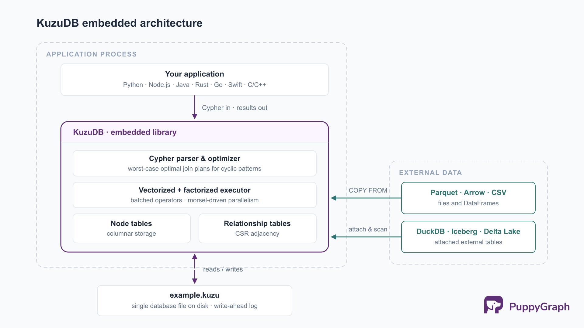A single application process contains the KuzuDB library, with stacked layers for the Cypher parser and optimizer, the vectorized and factorized executor, and columnar storage split into node tables and CSR relationship tables; the library reads and writes one database file on disk, while external Parquet, Arrow, CSV, DuckDB, Iceberg, and Delta Lake sources feed it through COPY FROM and attach-and-scan.