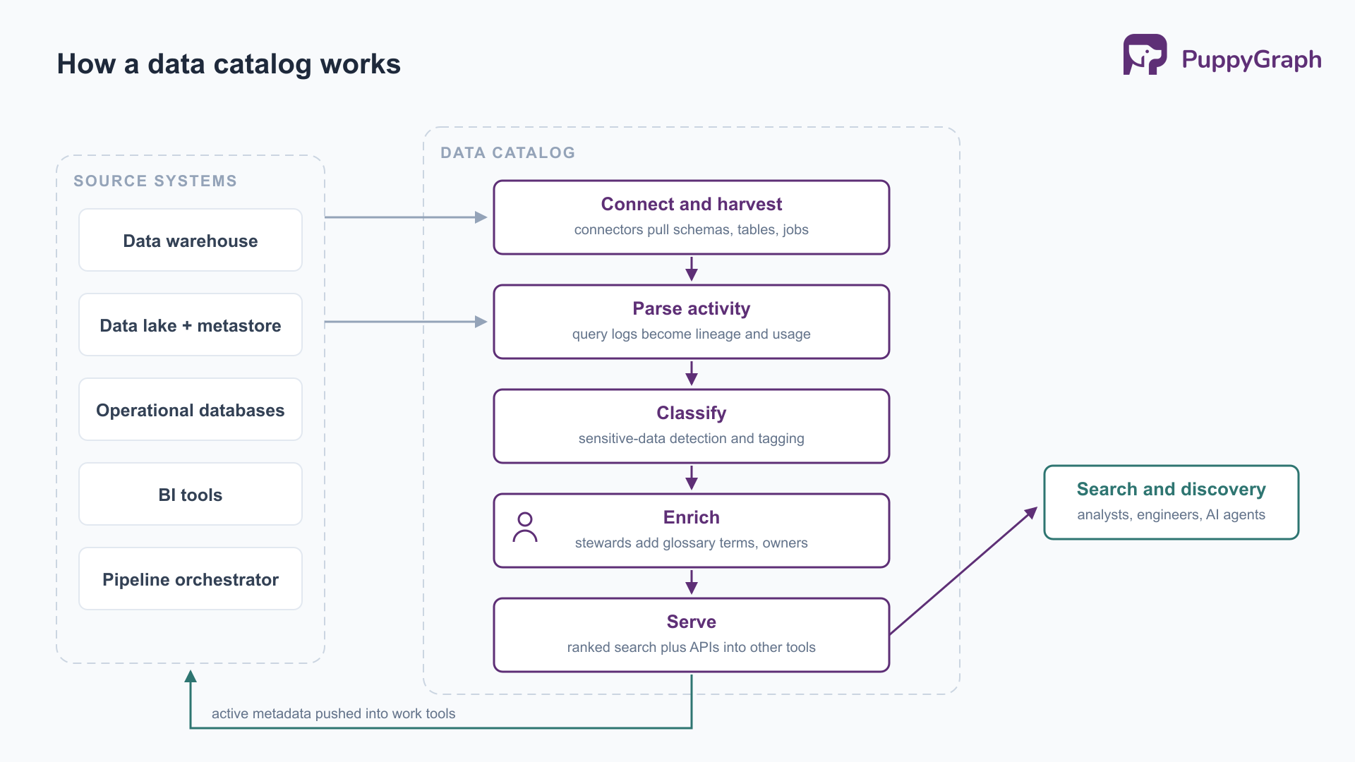 Pipeline diagram of a data catalog. Five source systems (data warehouse, data lake and metastore, operational databases, BI tools, pipeline orchestrator) feed a data catalog boundary containing five stages: connect and harvest, parse activity, classify, enrich (marked with a steward icon), and serve. Serve points to a search-and-discovery node for analysts, engineers, and AI agents, and an active-metadata arrow loops from serve back into the source tools.