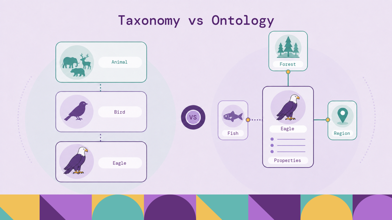Taxonomy vs Ontology: Key Differences