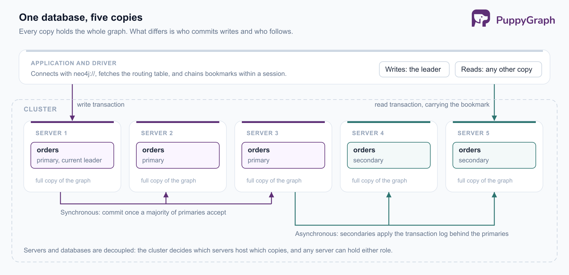 Diagram of one Neo4j database replicated across five cluster servers: three primary copies, one marked as the current leader, and two secondary copies, each labeled as a full copy of the graph. An application-and-driver band above sends a write transaction to the leader and a read transaction carrying a bookmark to a secondary. A synchronous replication lane connects the leader to the other primaries; an asynchronous lane feeds the secondaries.