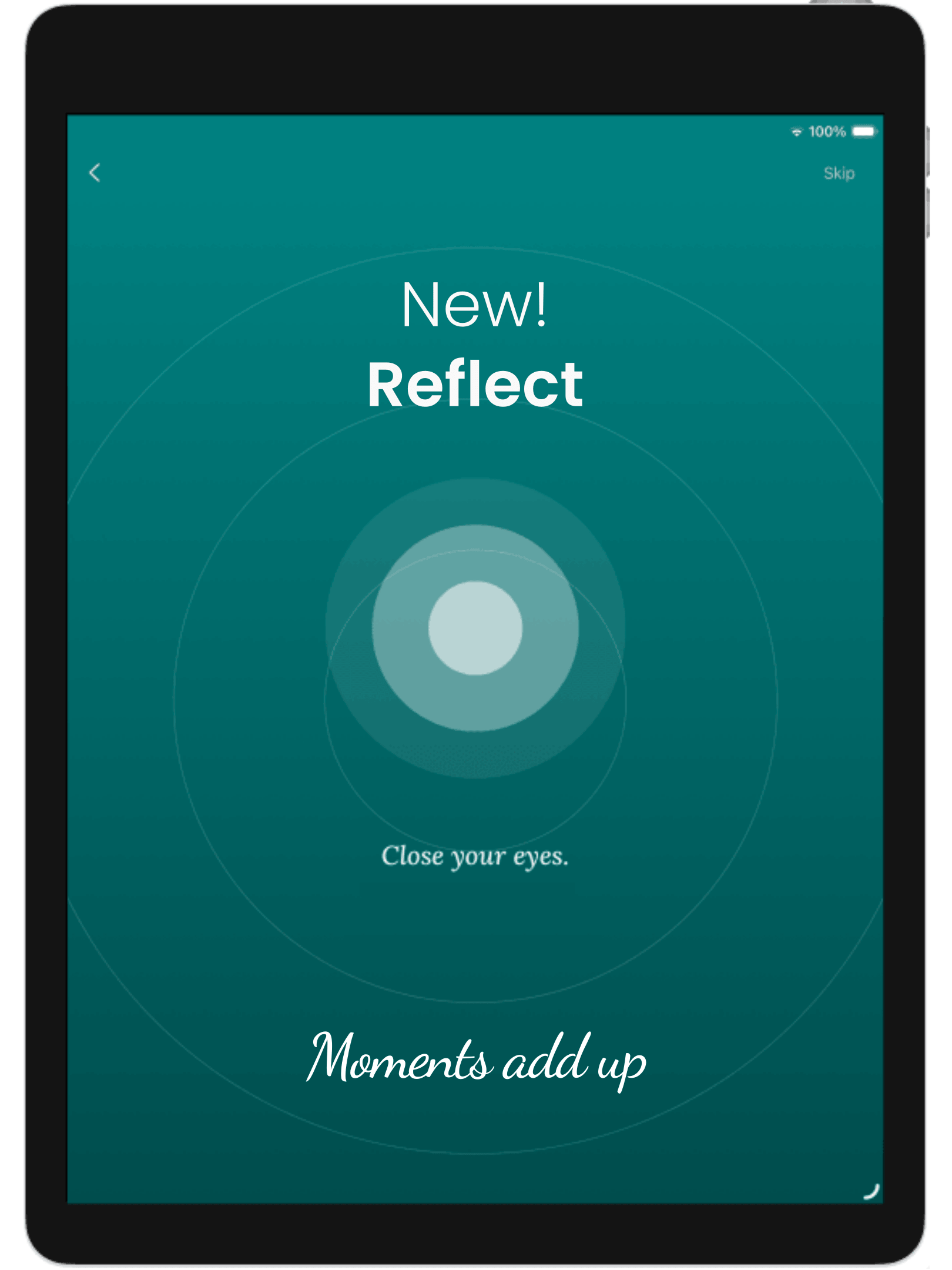 Reflect privately with Blippit too