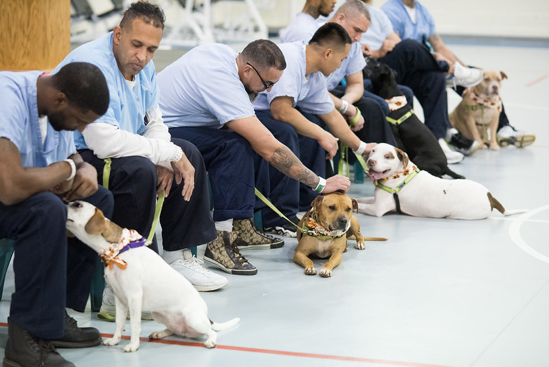 Philadelphia Community Impact Event for Green Sports Day - New Leash on Life