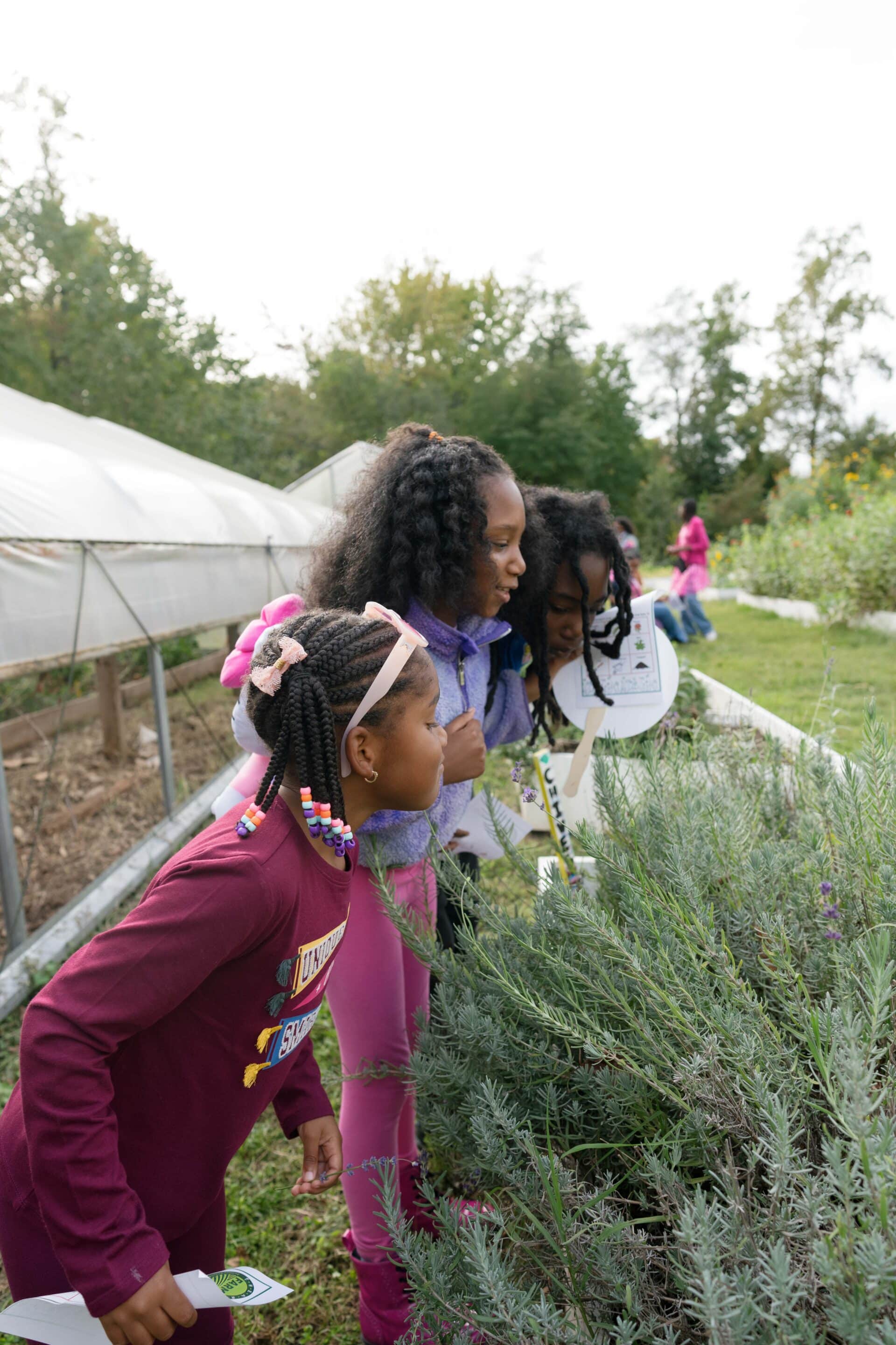 Washington D.C. Community Impact Event for Green Sports Day - THEARC Farm