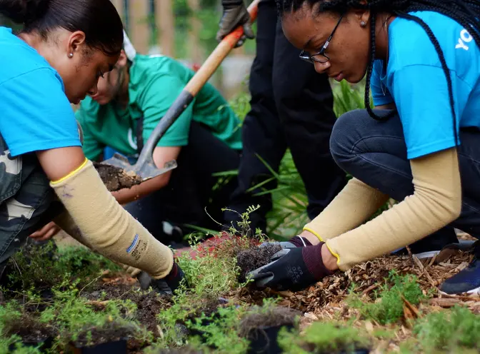 Atlanta Community Impact Event for Green Sports Day - Trees Atlanta