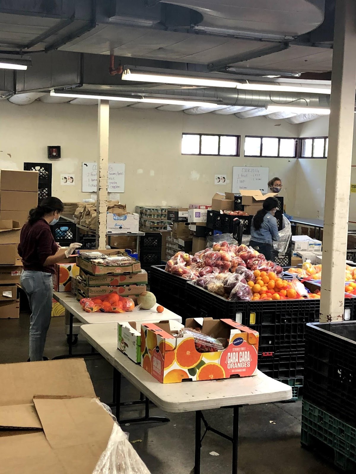 San Jose Community Impact Event for Green Sports Day with Sacred Heart Community Service