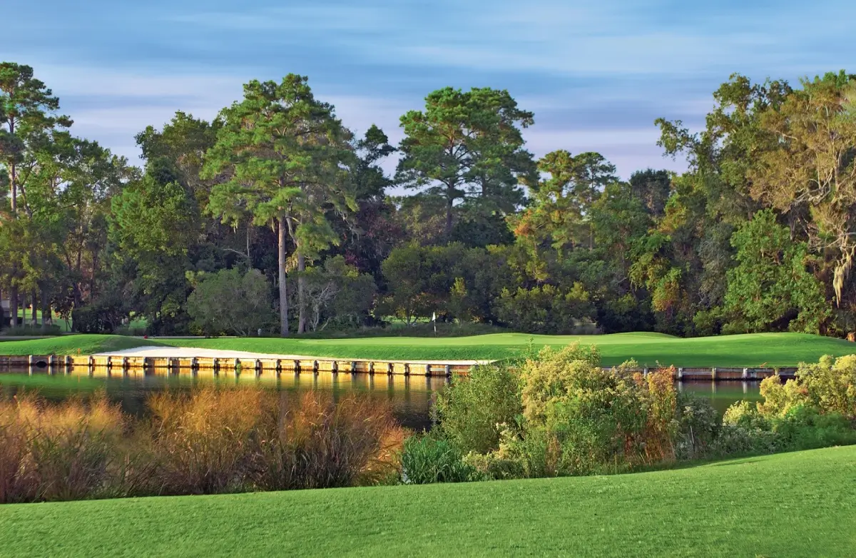 Arthur Hills - Palmetto Dunes