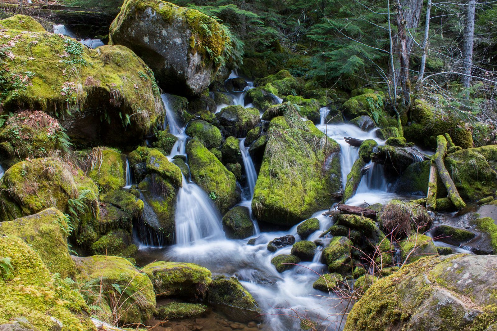 Top 10 MustSee Waterfalls Near Crater Lake