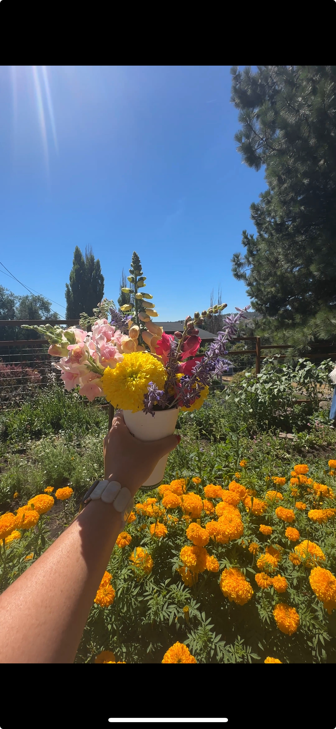 Klamath Experience Partners Image