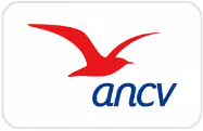 Logo visa