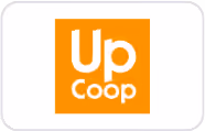 Logo visa