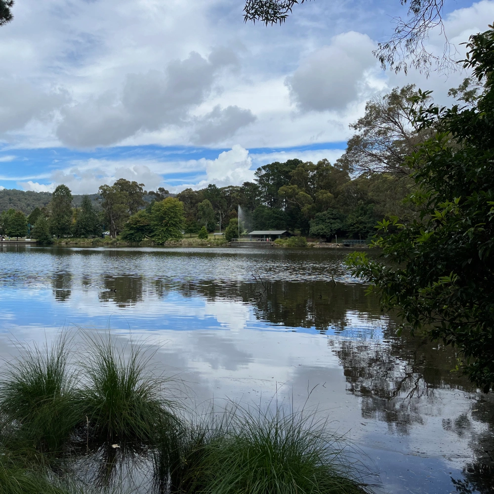 Mittagong Architects