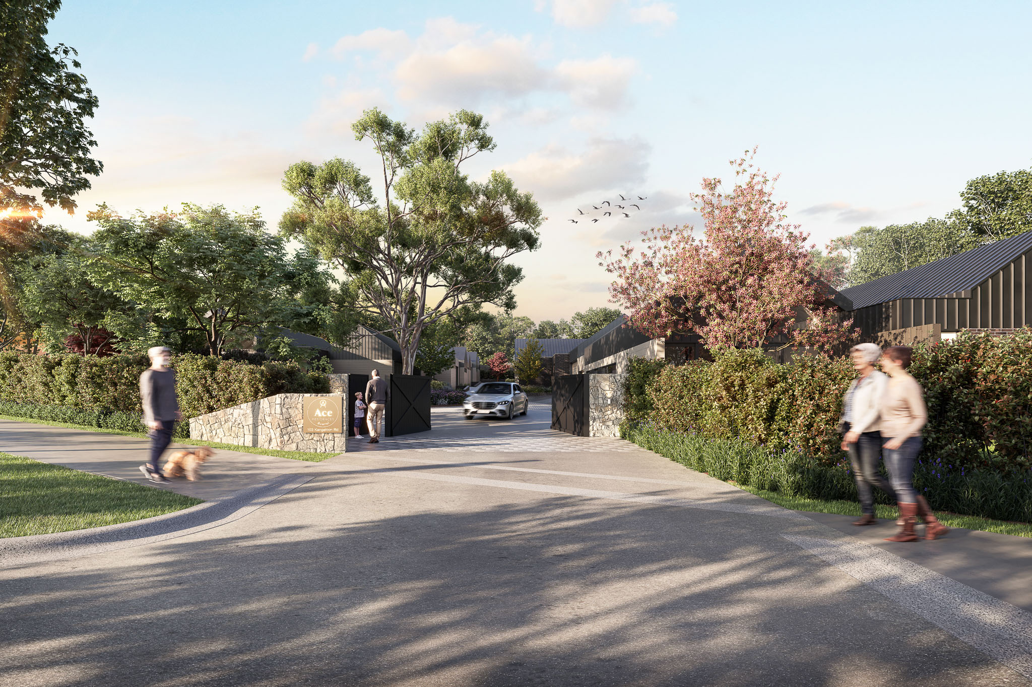 The Ace Residences front entry — AO Design Studio, contemporary architecture NSW