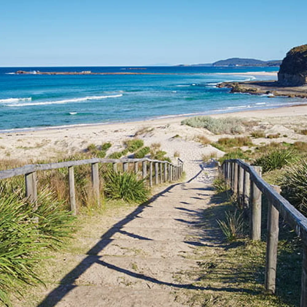 South Coast Architects