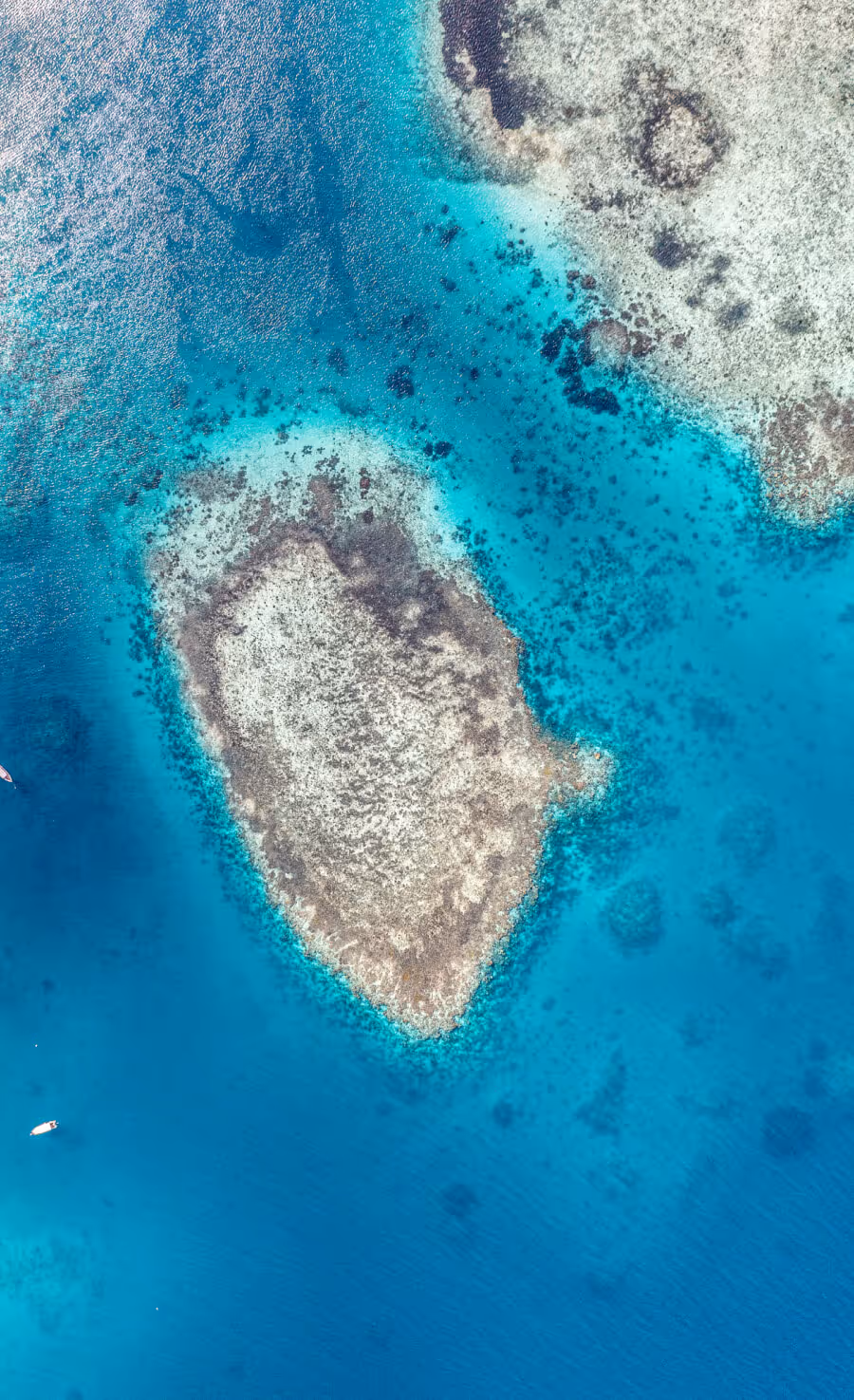 Fiji