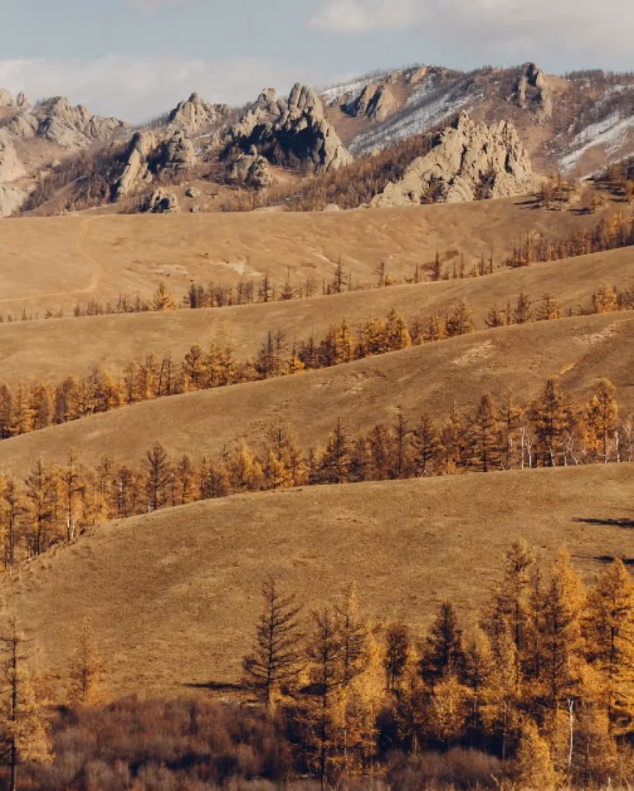 Mongolei