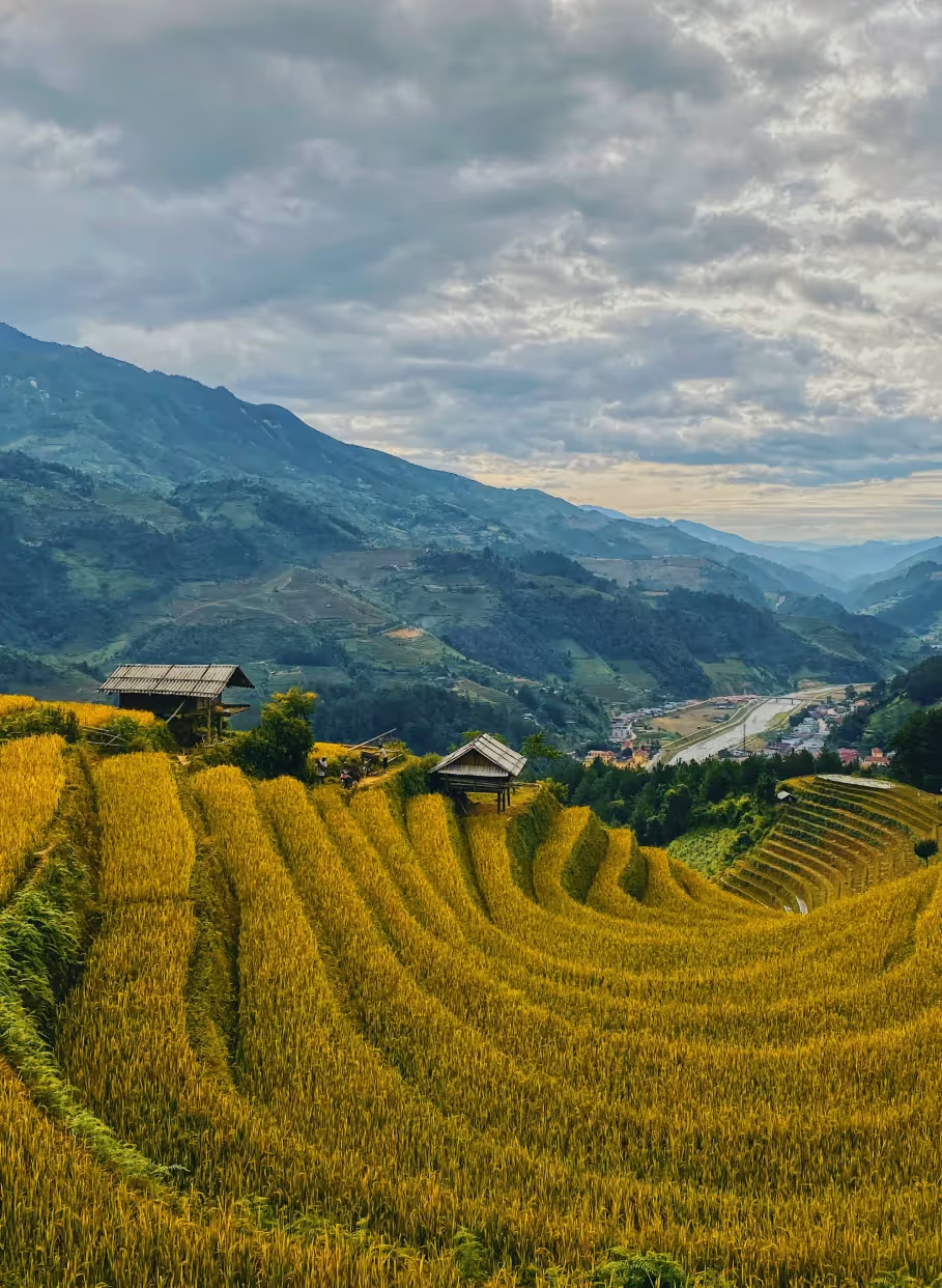 Vietnam