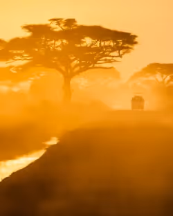 Africa - Region 1