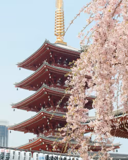 Asia