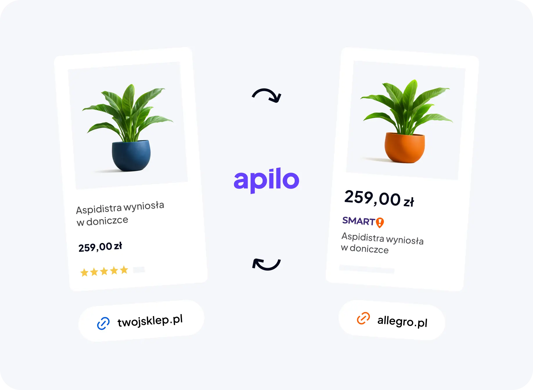Ta sama oferta rośliny w sklepie i na Allegro