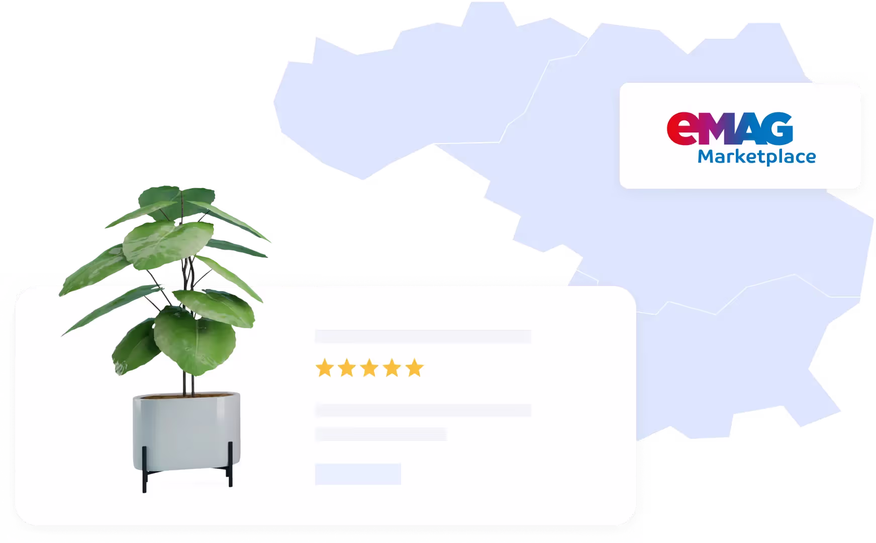 Platforma eMAG Marketplace i sklep internetowy