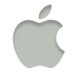 Apple Inc. logo with a metallic gray finish.
