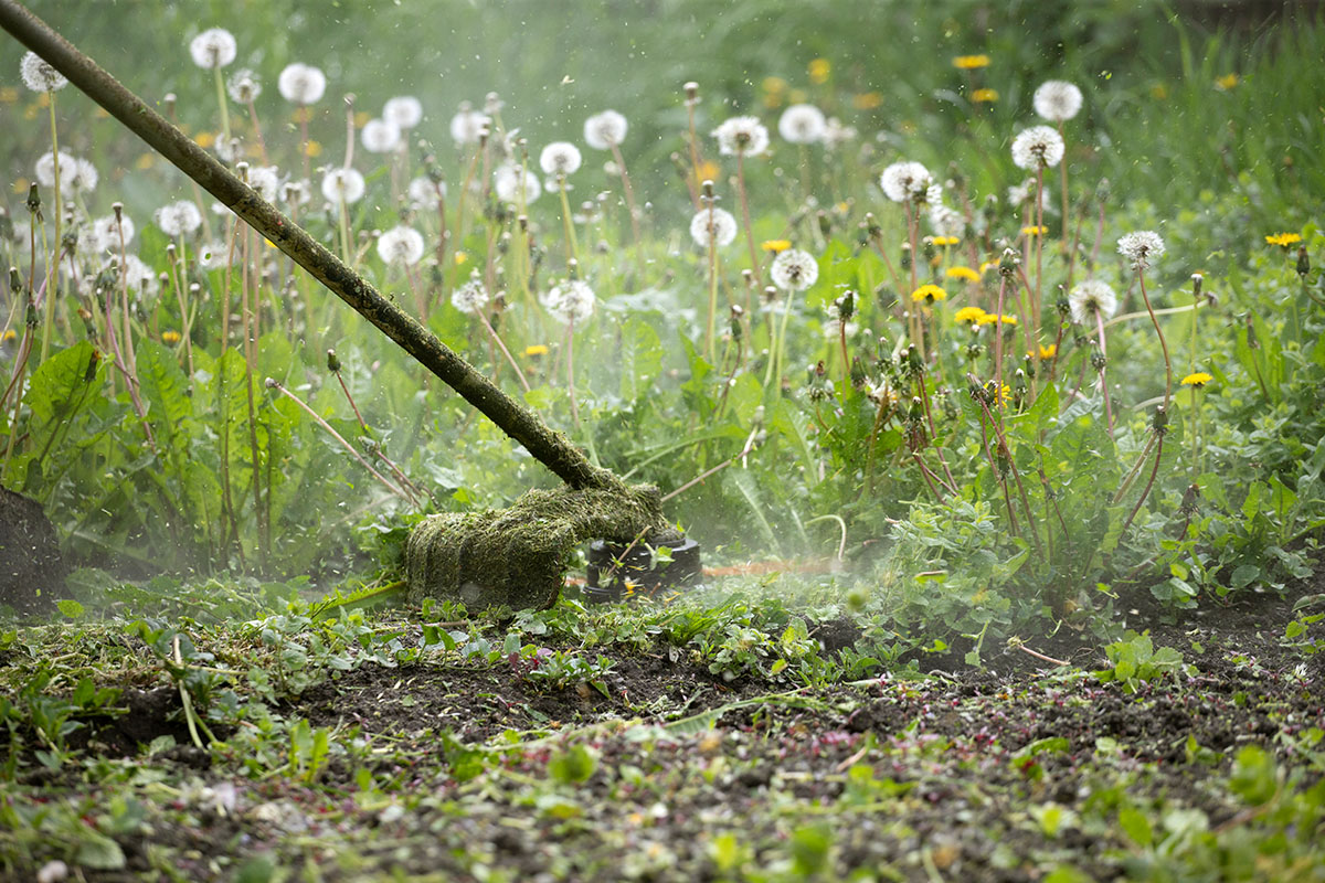 Yard Work