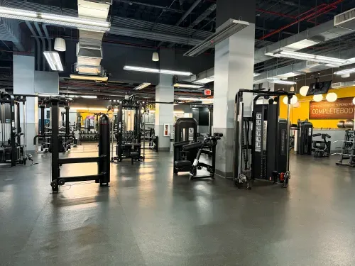 Modern gym with various strength training machines and equipment on a spacious floor.