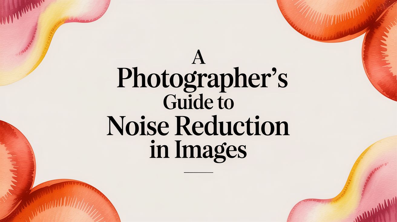 A Photographer's Guide to Noise Reduction in Images
