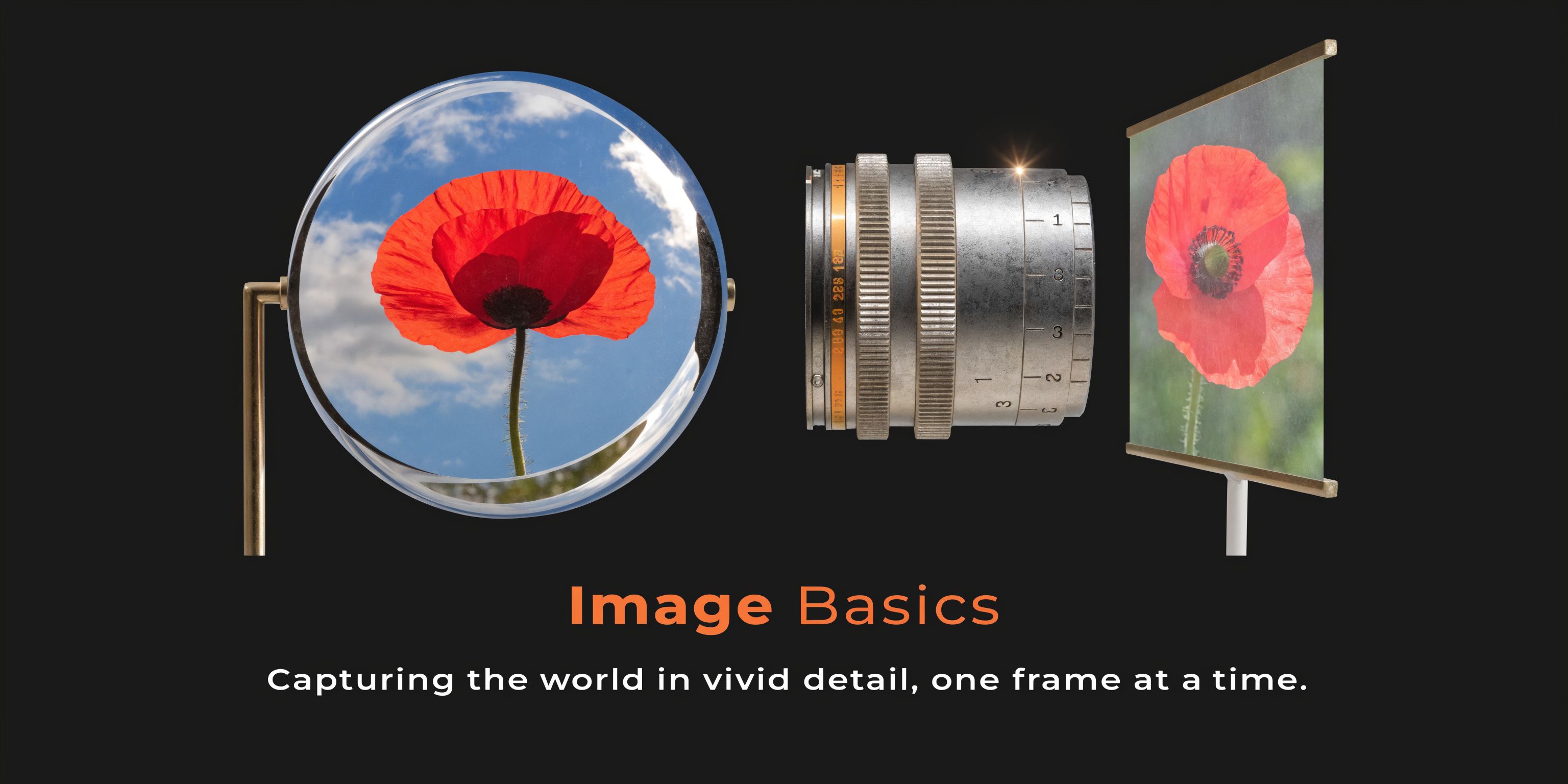An illustration showing a camera lens capturing a poppy flower reflected in a round mirror as a real image.