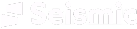 Seismic