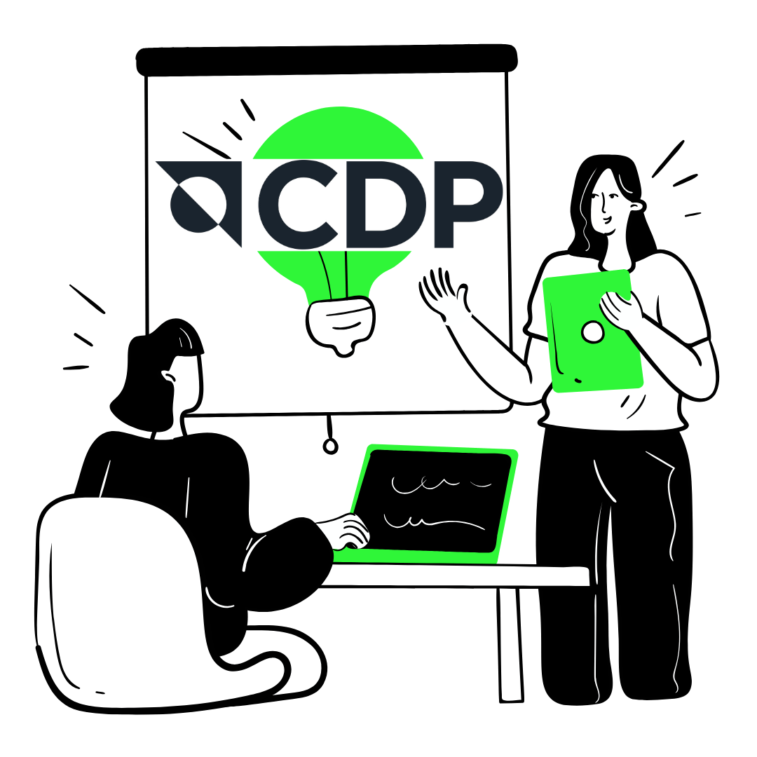 Consultanta si raportare CDP - ECONOS