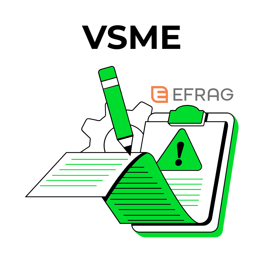 Consultanță VSME pentru IMM-uri ECONOS