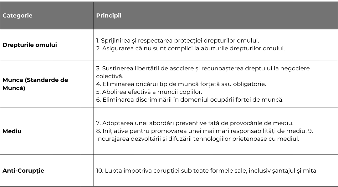 Cele 10 principii de baza CoP - ECONOS