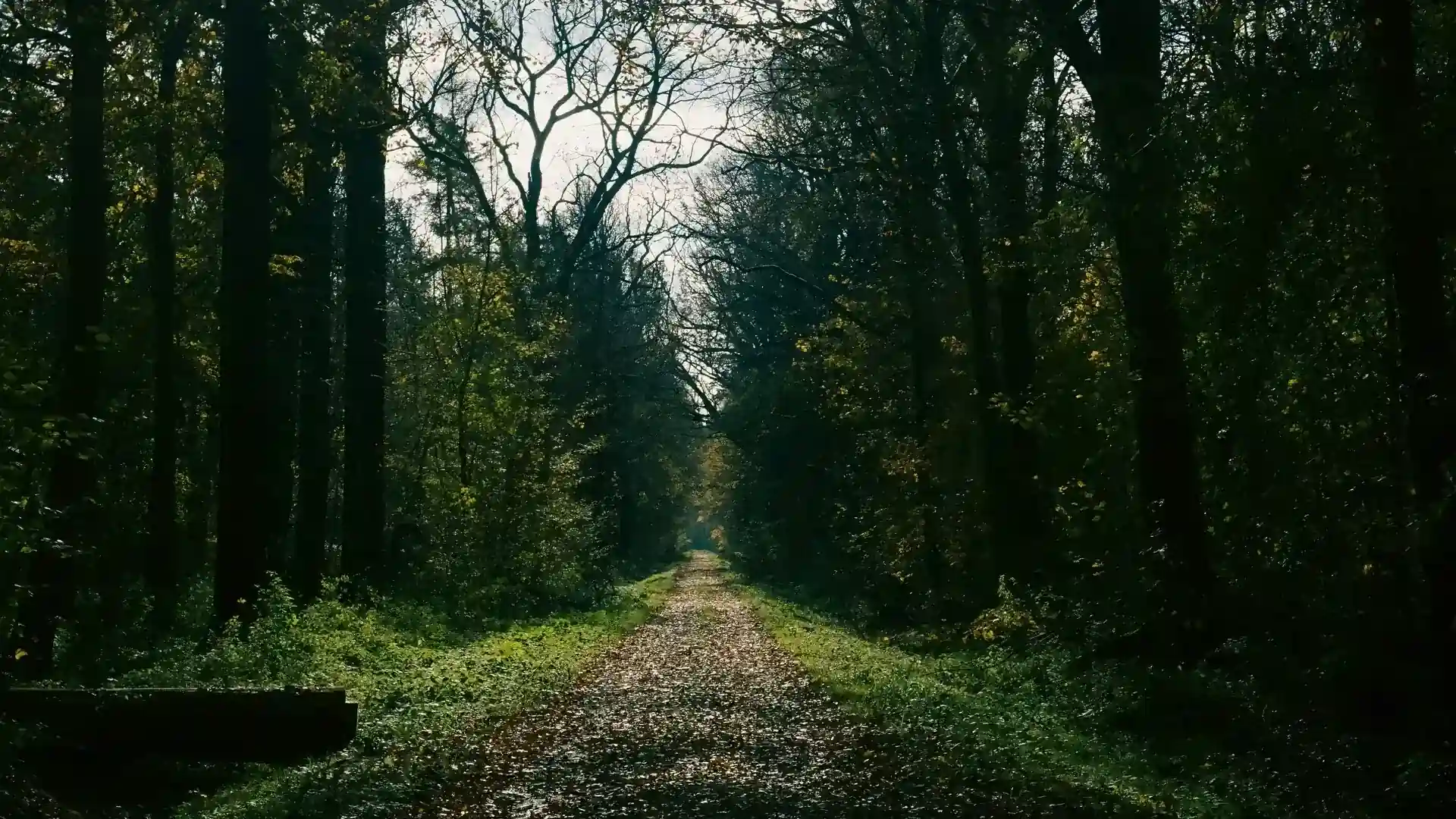 Tao Te Ching on Desire and Simplicity