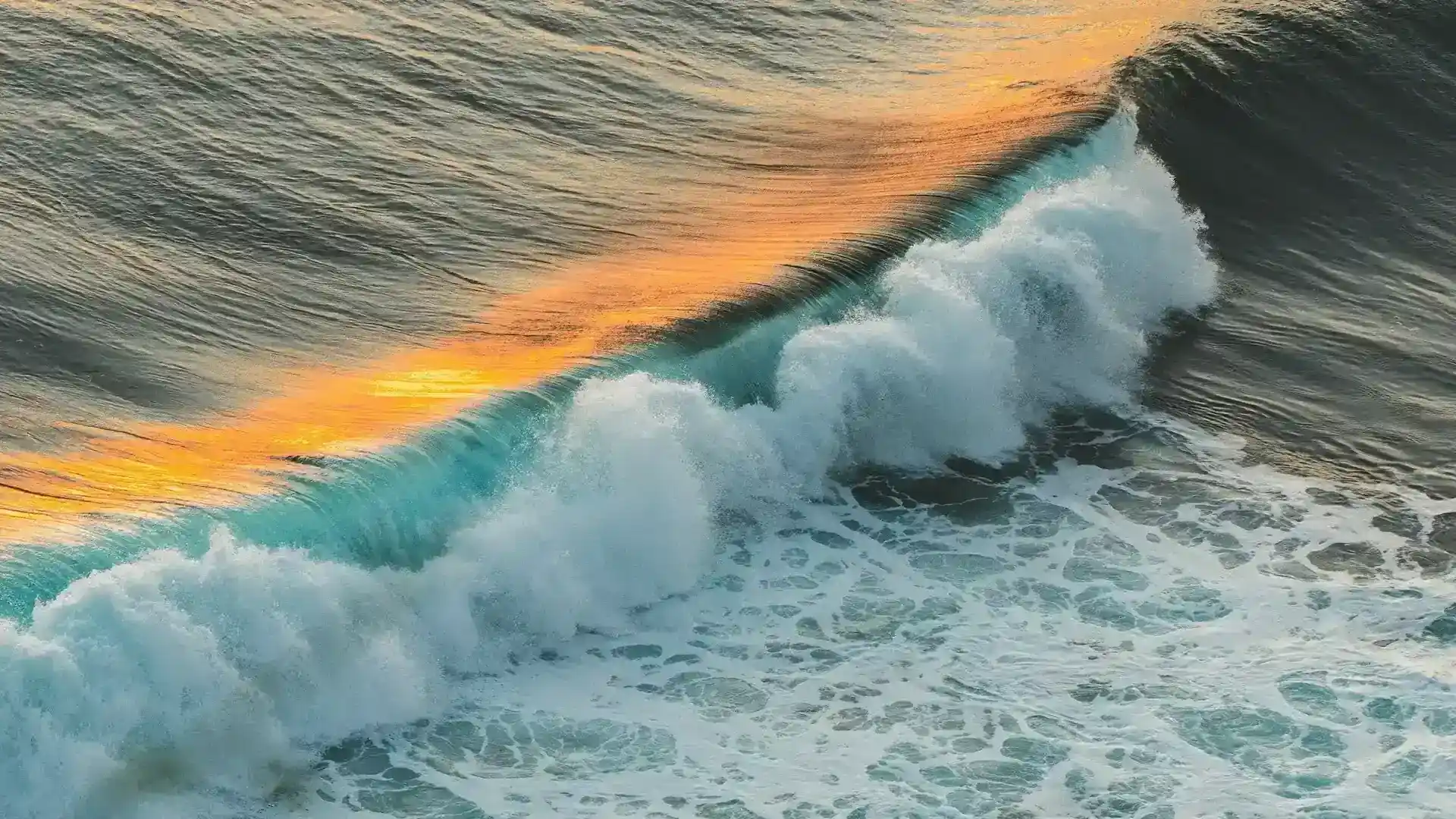 Ultimate Guide to Five Elements in Daily Life