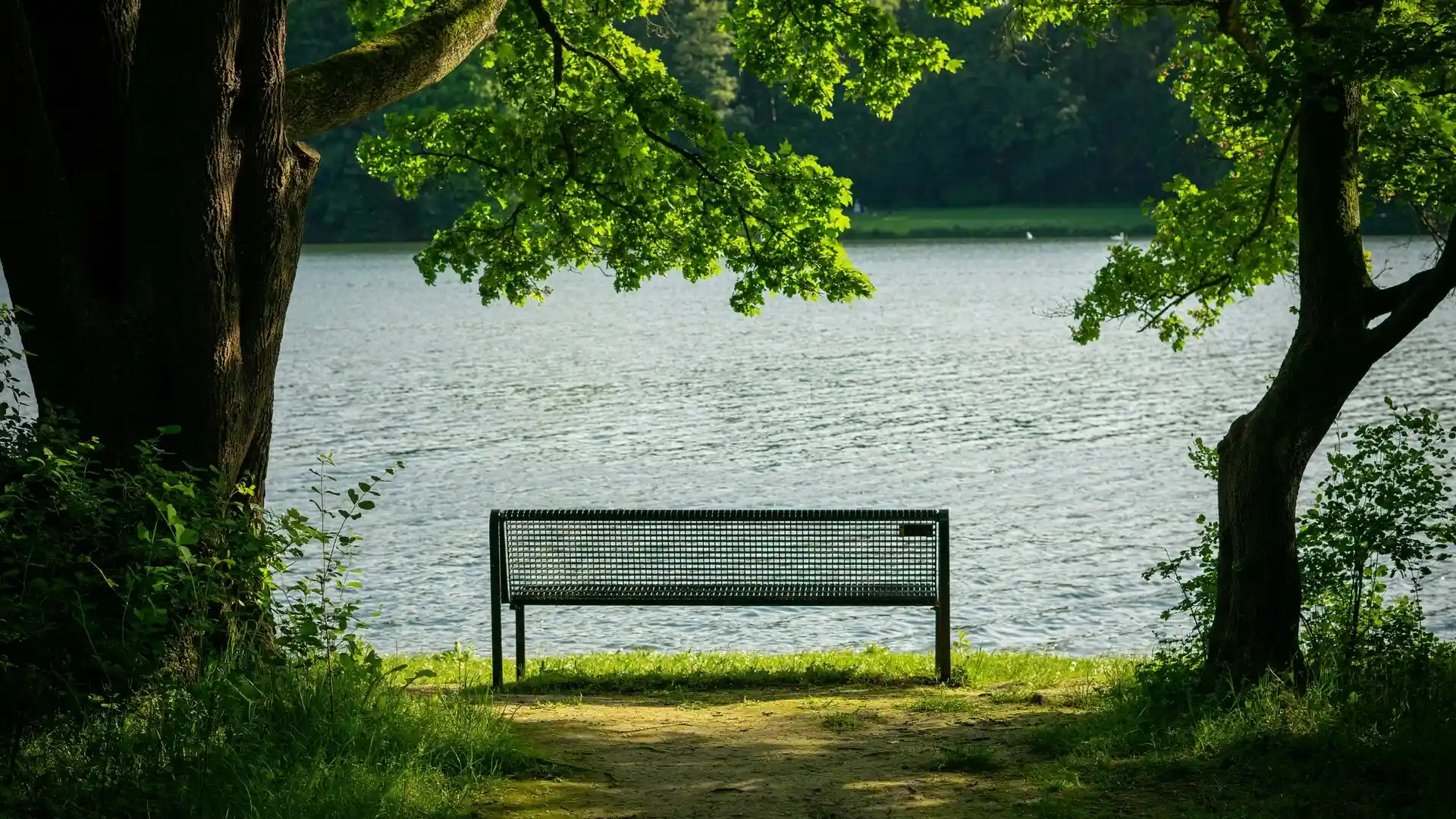 Daily Wu Wei Practices for Inner Peace