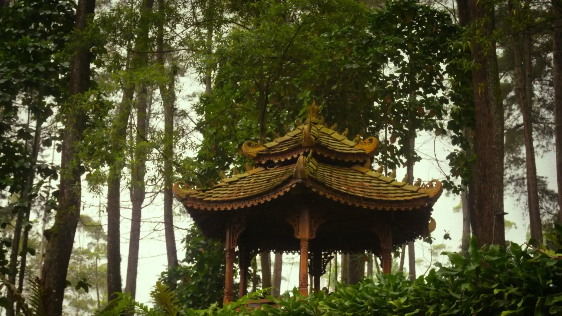 Using I Ching for Anxiety Management