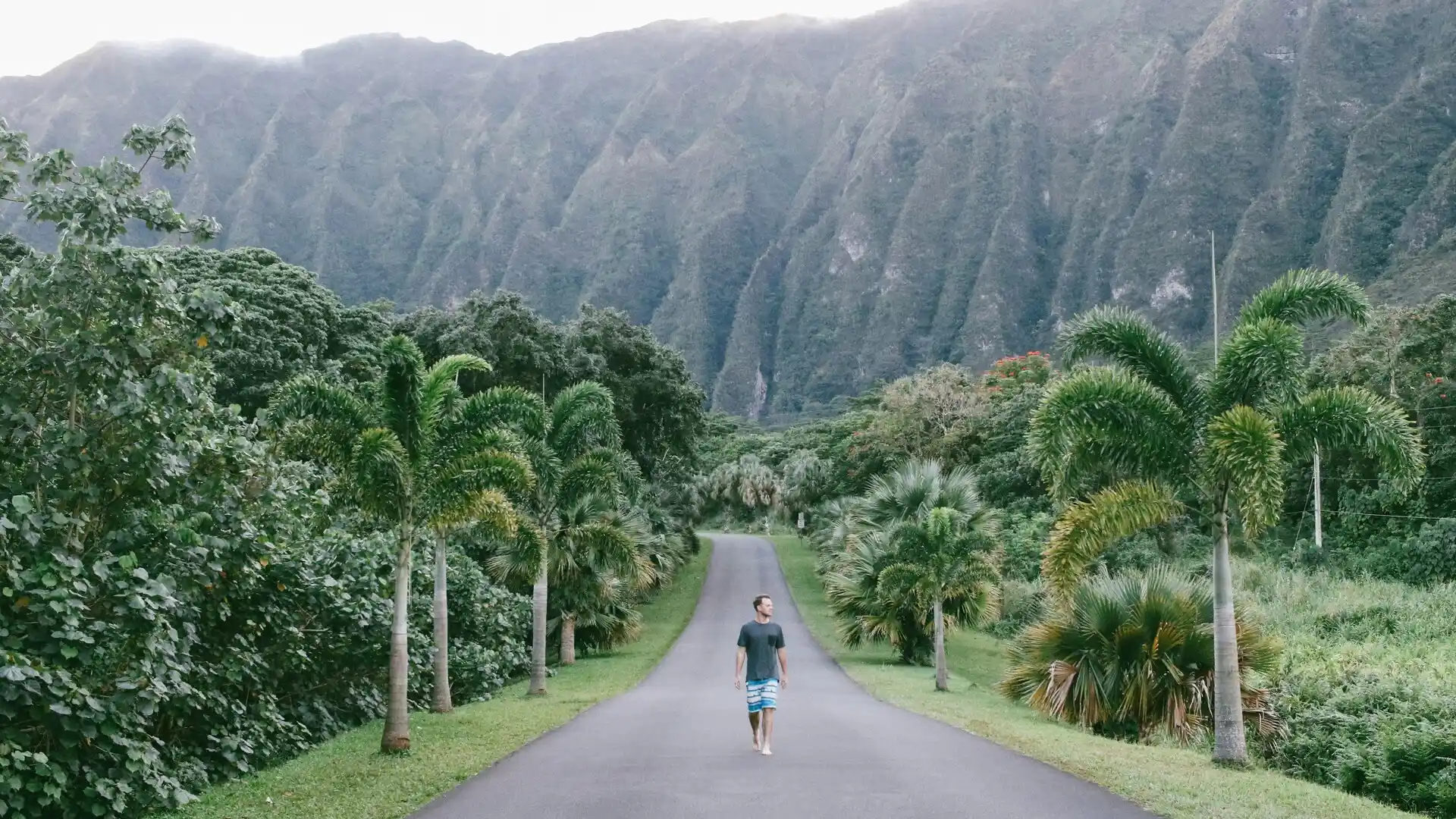 Taoist Wisdom for Mindful Walking