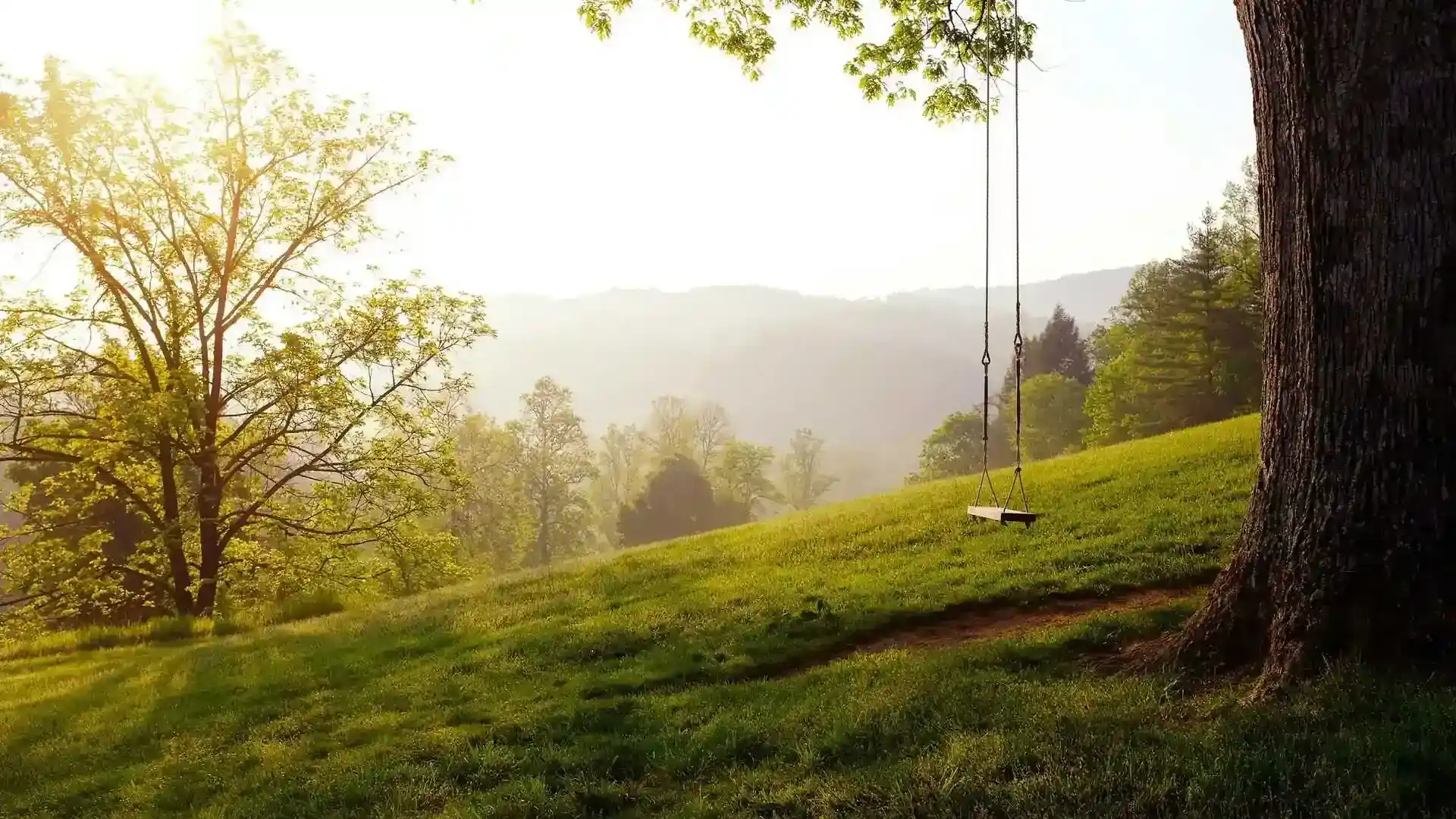 I Ching Guidance: Steps to Inner Harmony