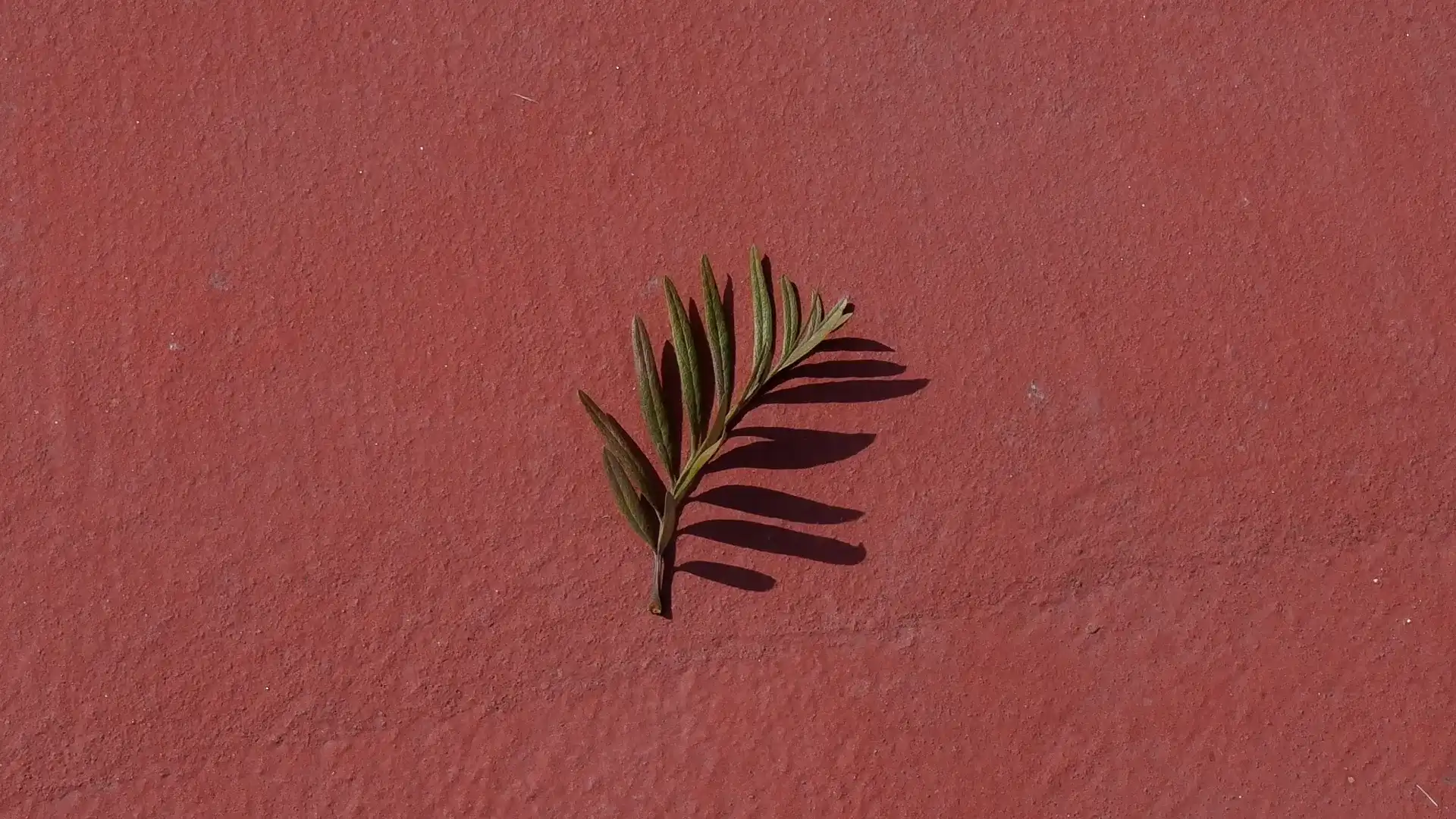 Tao Te Ching Quotes on Simplicity