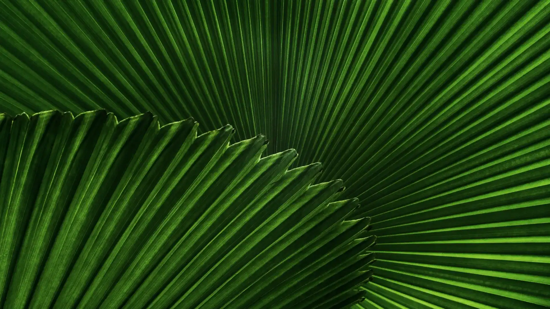 How Wu Wei Guides Alignment with the Tao