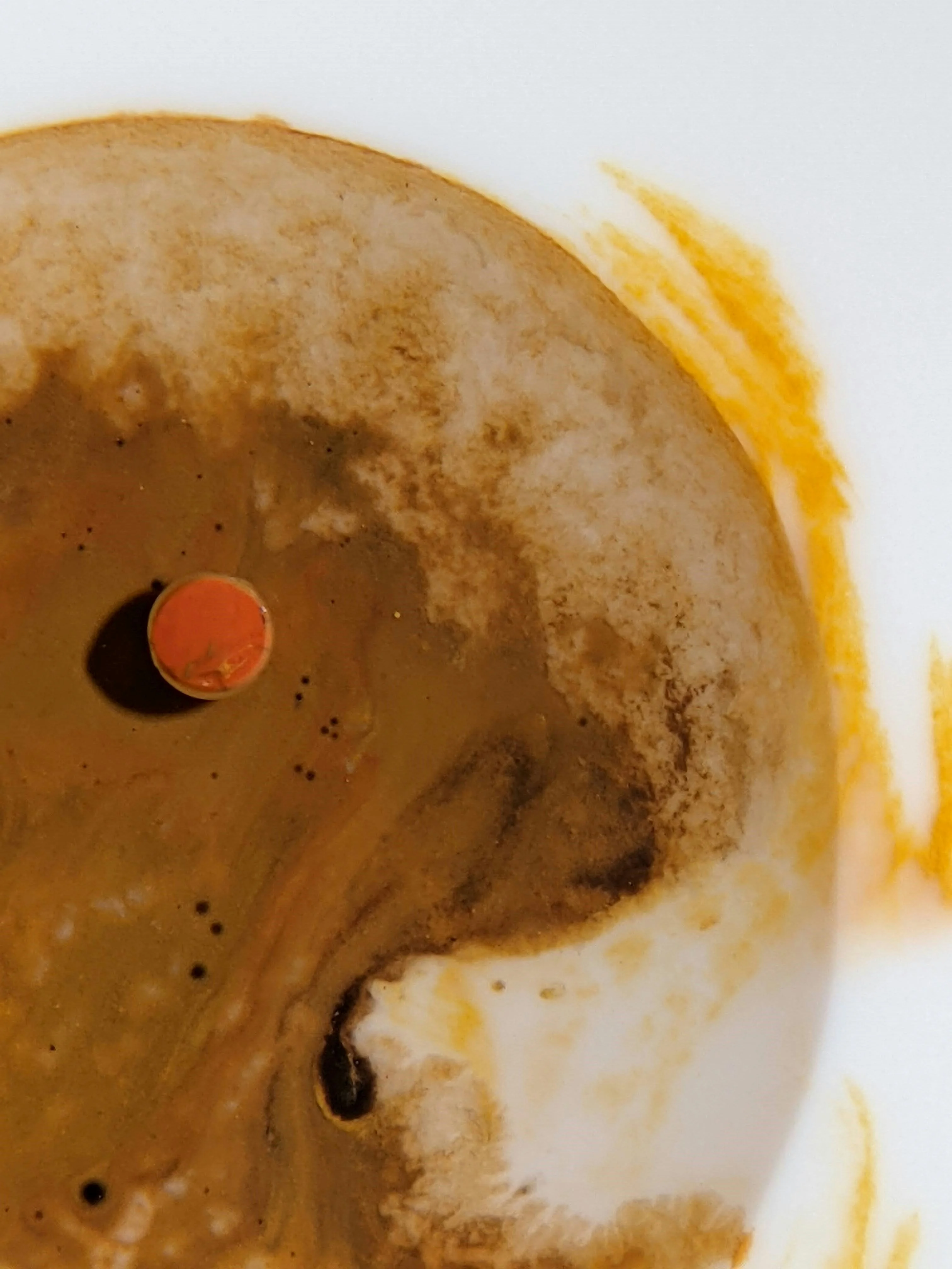 The Yin and Yang of Life: Understanding Dualism in Taoism