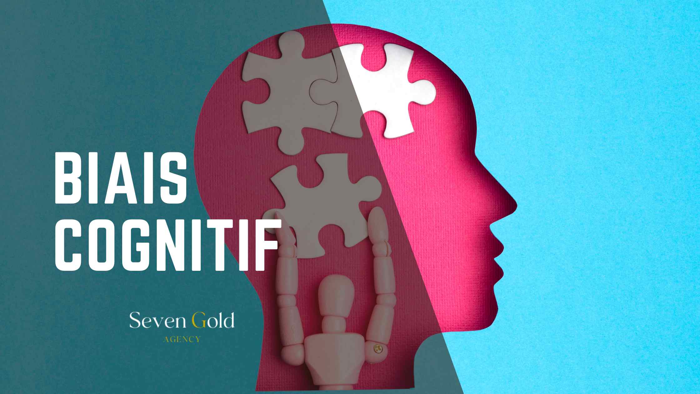Biais cognitifs