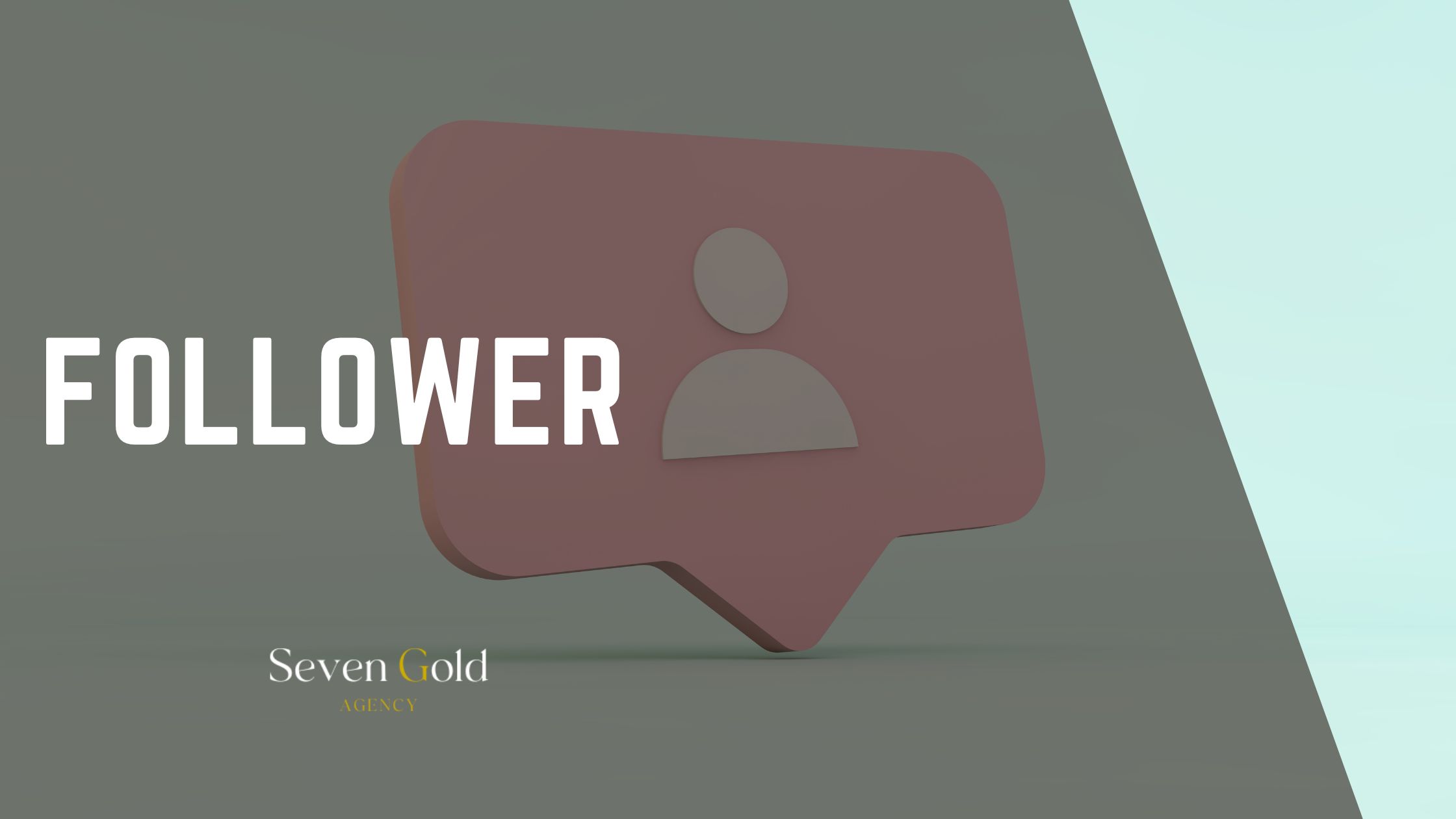 Follower: definition, role and real impact in digital marketing