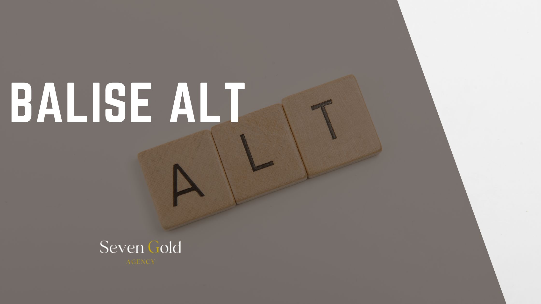 Alt Text: SEO, Accessibility, and Writing Best Practices