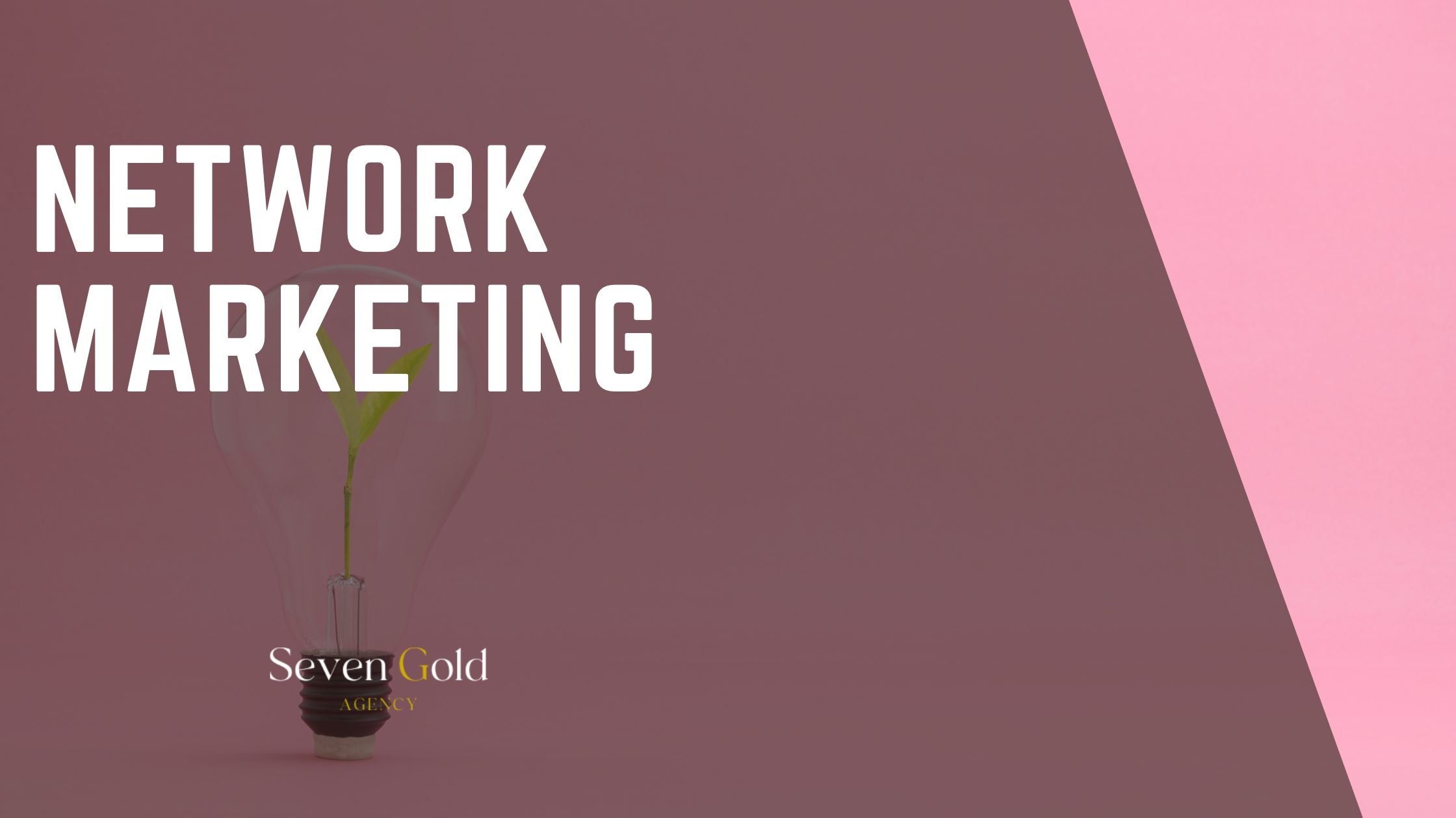 Network Marketing and MLM: Model, Risks, and Due Diligence