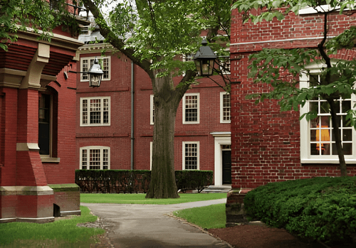 Tensión entre Trump y Harvard por fondos federales y condiciones ideológicas